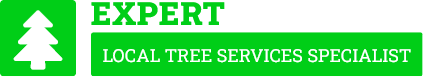 Auckland Tree Cutting - Tree Removal Auckland